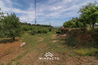 Terreno Agricola ou Rústico para Venda em Nelas