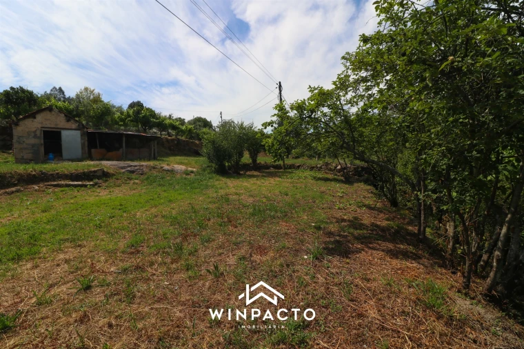 Terreno Agricola ou Rústico para Venda em Nelas Foto 7