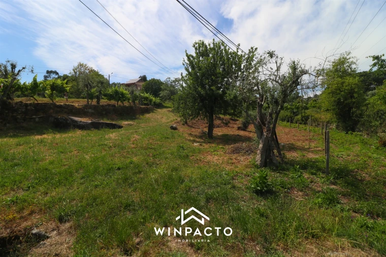 Terreno Agricola ou Rústico para Venda em Nelas Foto 4