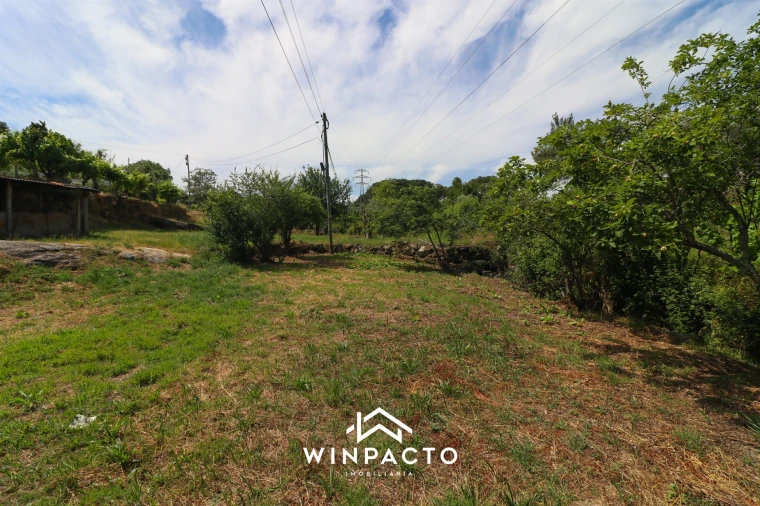Terreno Agricola ou Rústico para Venda em Nelas Foto 8