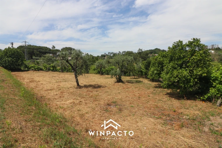 Terreno Agricola ou Rústico para Venda em Nelas Foto 11