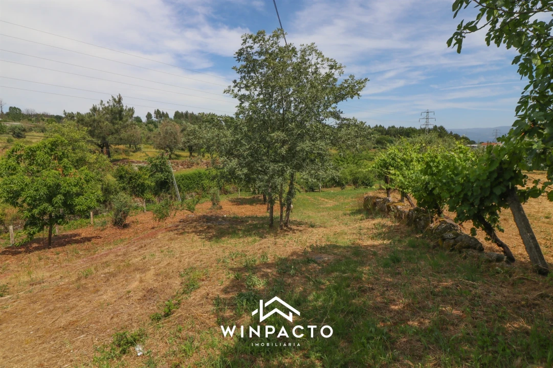 Terreno Agricola ou Rústico para Venda em Nelas Foto 1