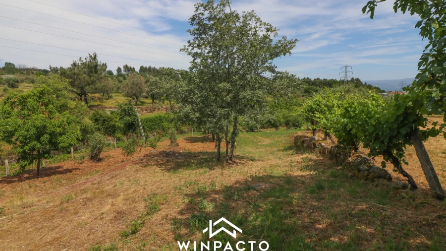 Terreno Agricola ou Rústico para Venda em Nelas