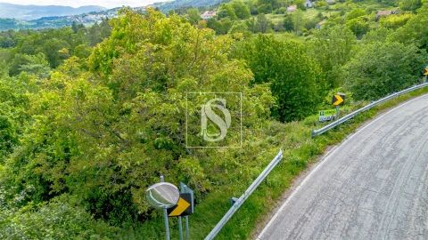 Terreno Agricola ou Rústico para Venda em Campelo e Ovil