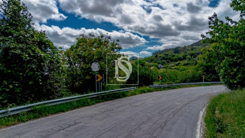 Terreno Agricola ou Rústico para Venda em Campelo e Ovil