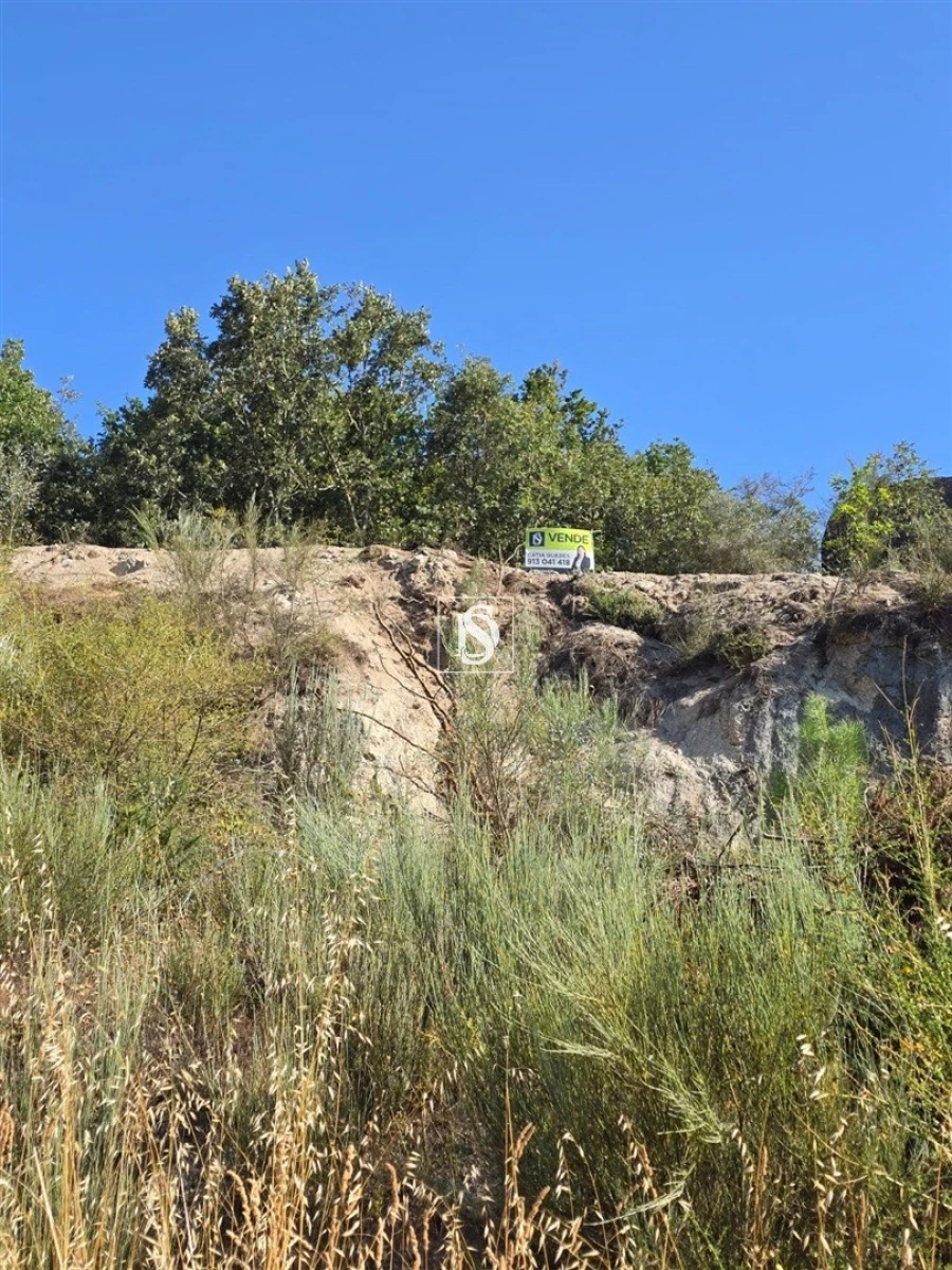 Terreno para Venda em Campelo e Ovil Foto 23
