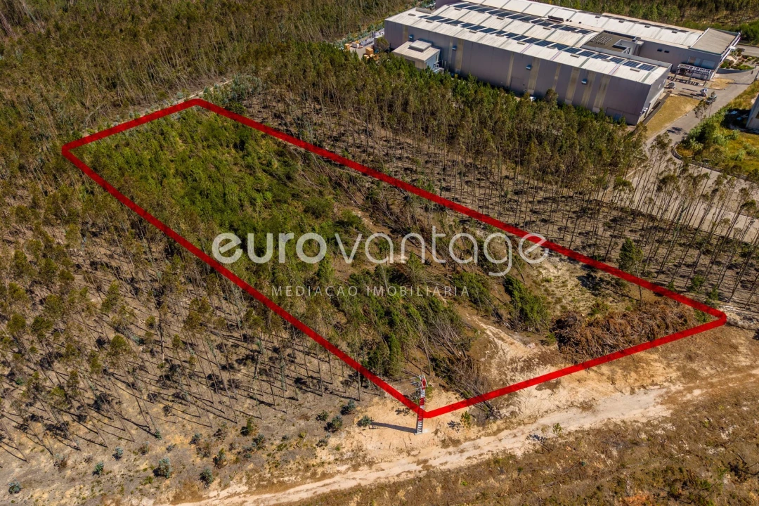 Terreno para Venda em Maceira Foto 6