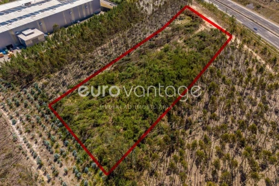 Terreno para Venda em Maceira