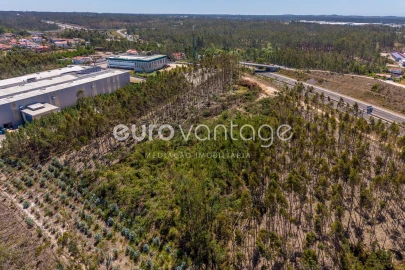 Terreno para Venda em Maceira
