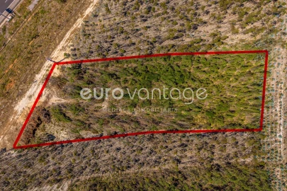 Terreno para Venda em Maceira