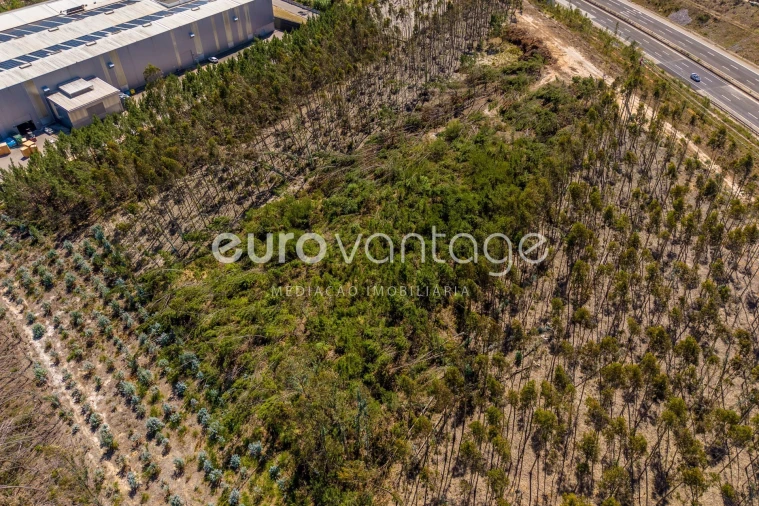 Terreno para Venda em Maceira Foto 12