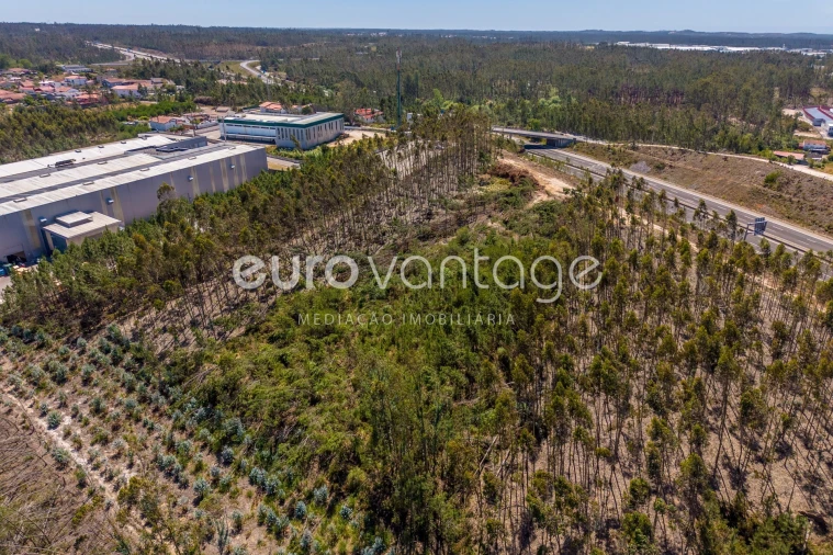 Terreno para Venda em Maceira Foto 9