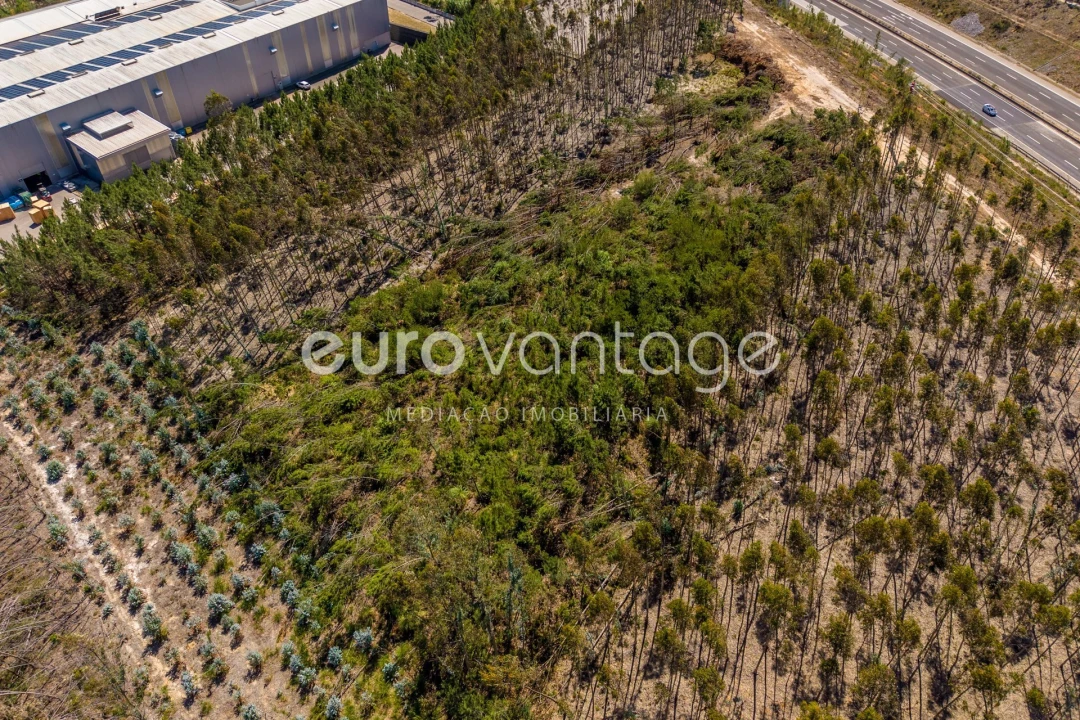 Terreno para Venda em Maceira Foto 12