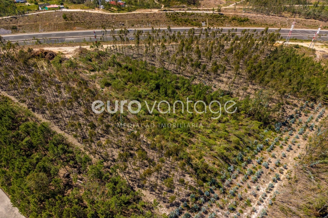 Terreno para Venda em Maceira Foto 11