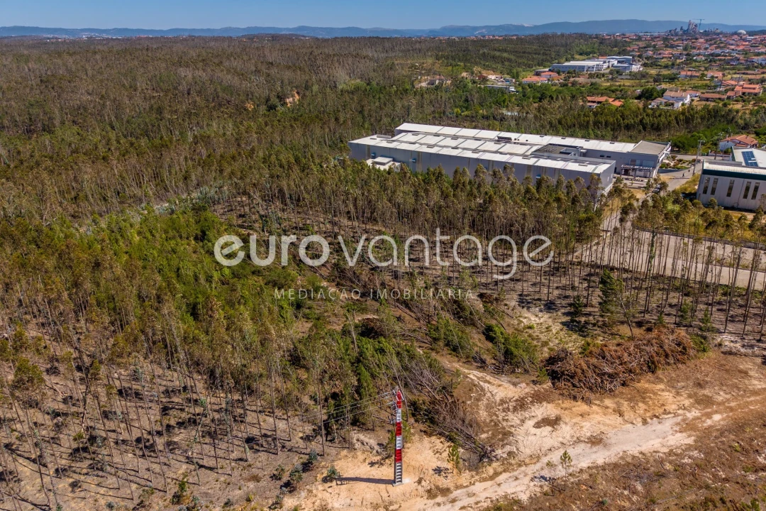 Terreno para Venda em Maceira Foto 8