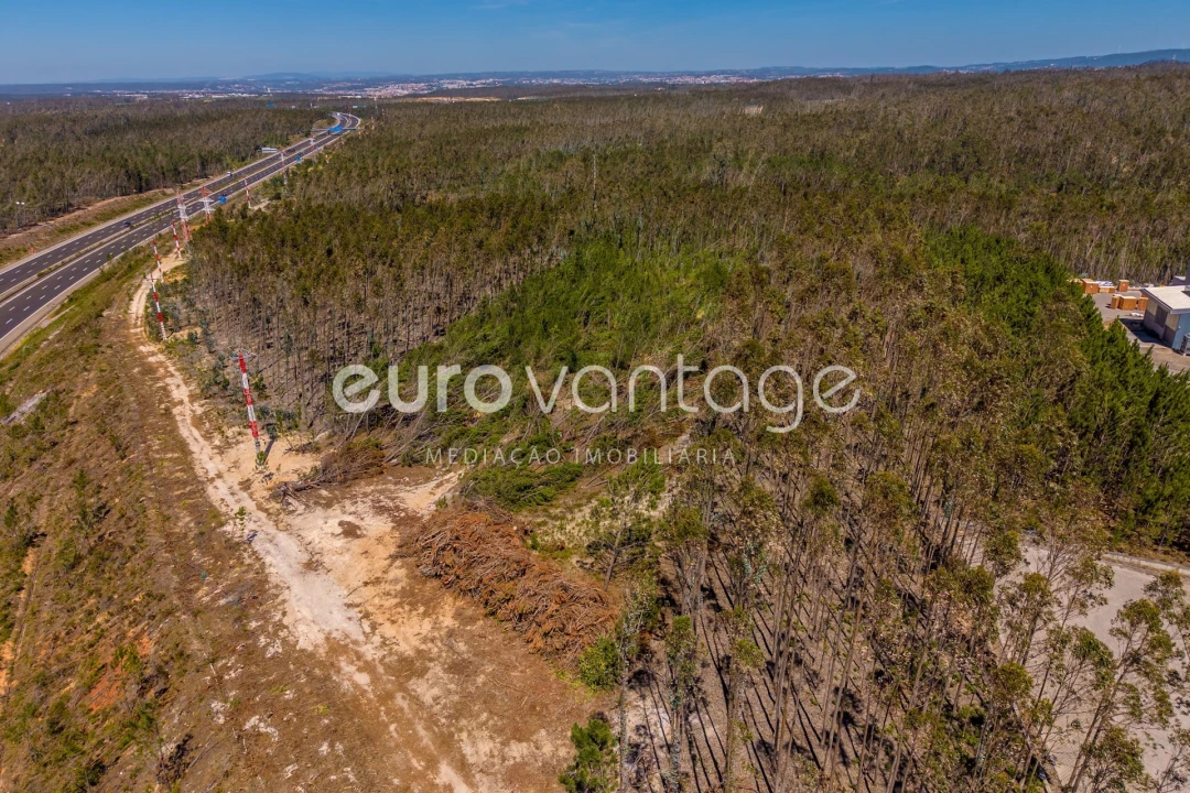Terreno para Venda em Maceira Foto 10