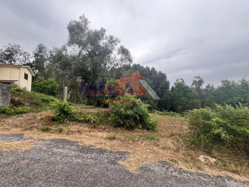 Terreno para Venda em Pinheiro da Bemposta, Travanca e Palmaz Foto 2