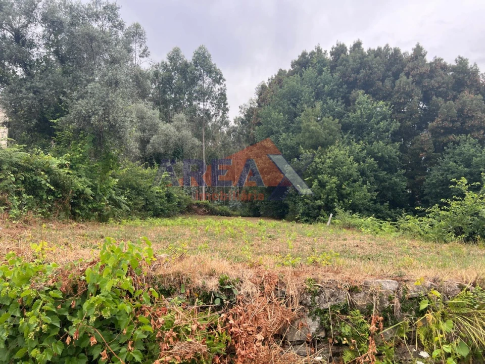 Terreno para Venda em Pinheiro da Bemposta, Travanca e Palmaz Foto 5