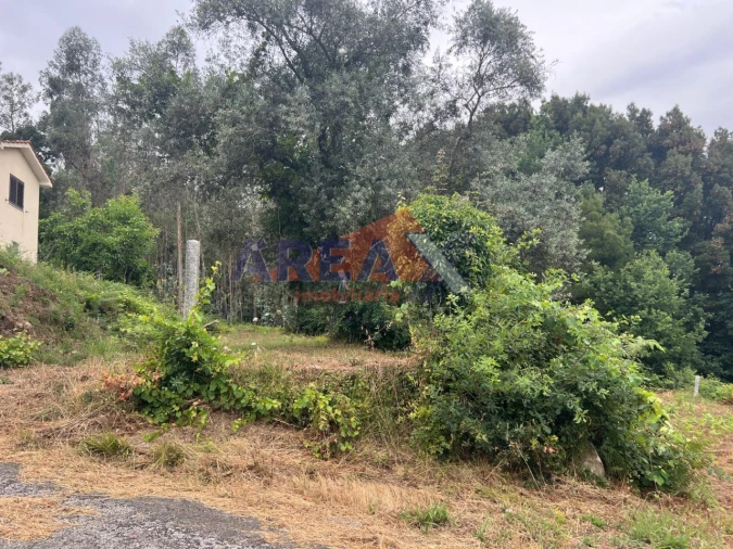 Terreno para Venda em Pinheiro da Bemposta, Travanca e Palmaz Foto 3