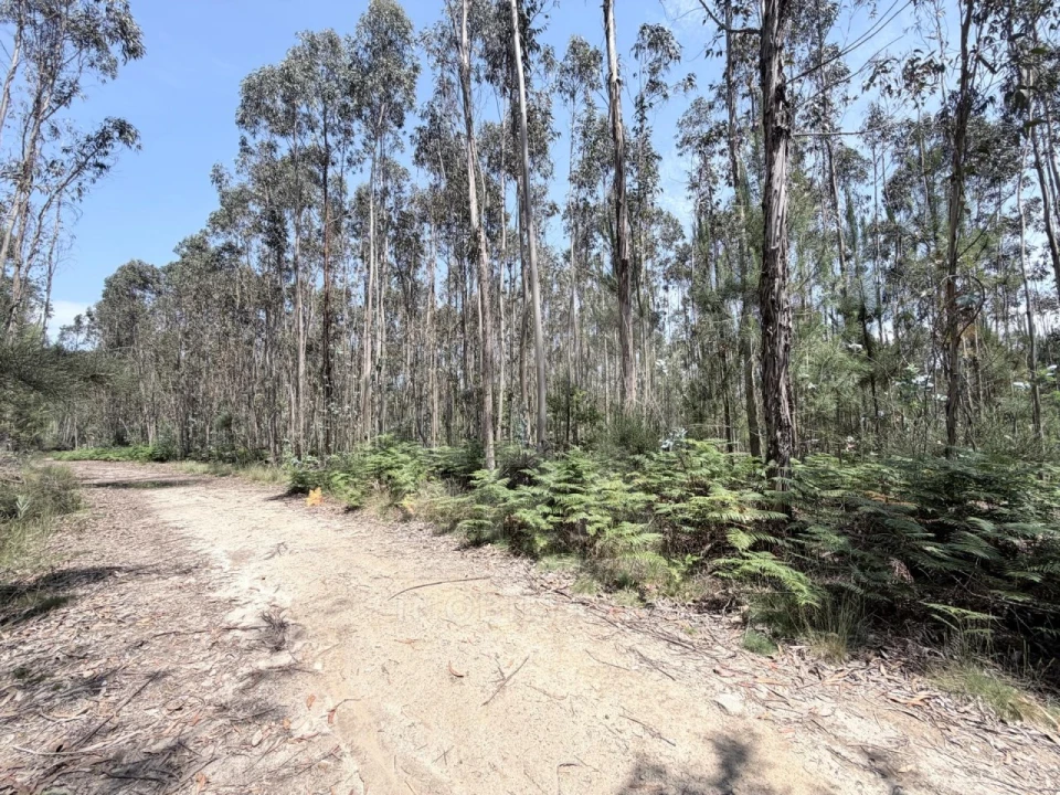 Terreno para Venda em Vila Cova e Feitos Foto 1