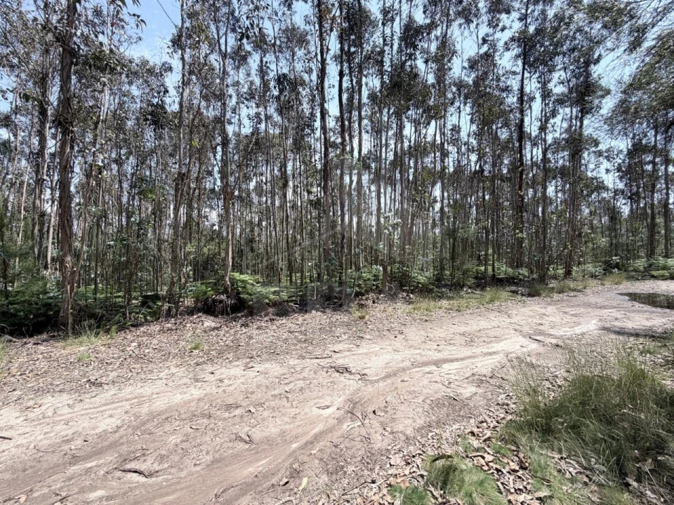 Terreno para Venda em Vila Cova e Feitos Foto 2