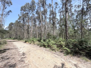 Terreno para Venda em Vila Cova e Feitos