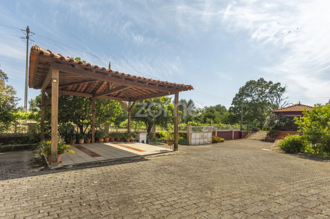 Moradia T3 para Venda em Talhadas Foto 44