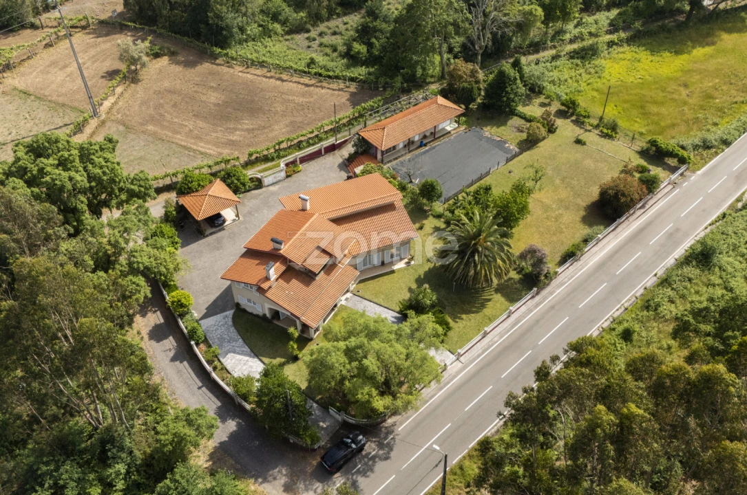 Moradia T3 para Venda em Talhadas Foto 56