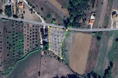 Terreno para Venda em Leiria, Pousos, Barreira e Cortes