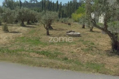 Terreno para Venda em Leiria, Pousos, Barreira e Cortes
