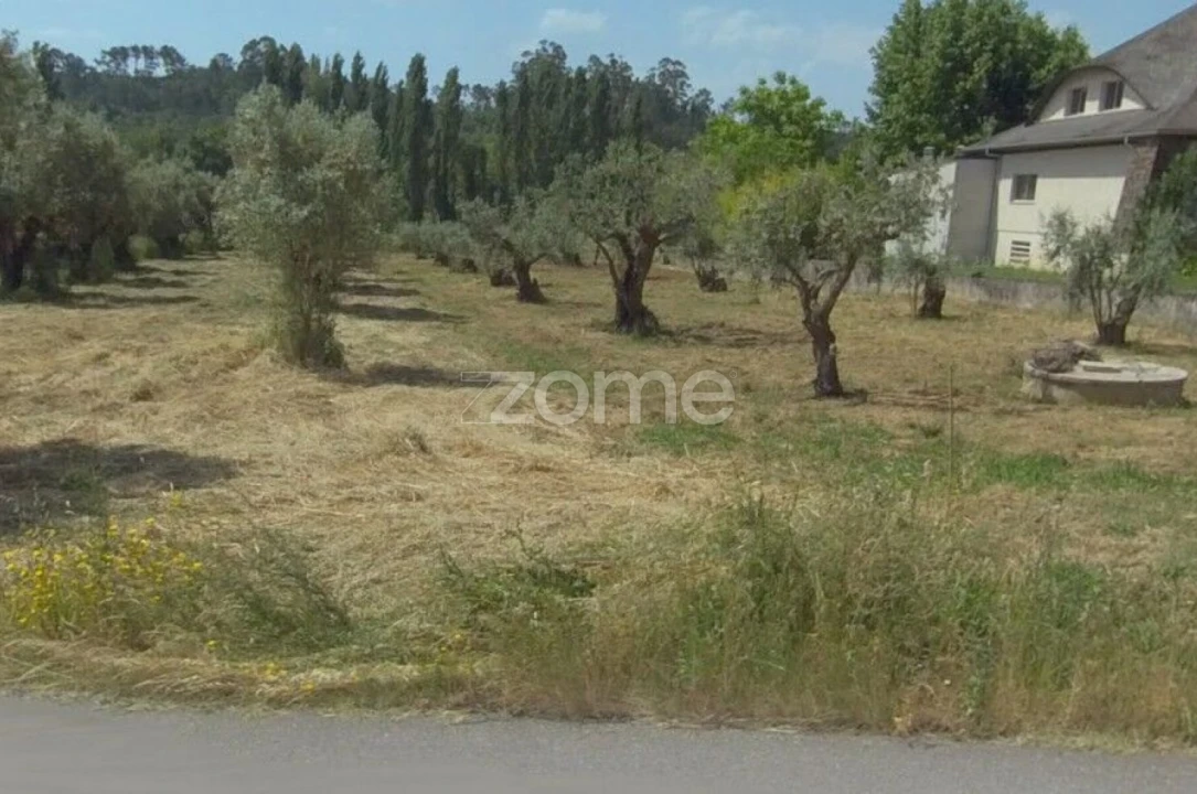 Terreno para Venda em Leiria, Pousos, Barreira e Cortes Foto 4