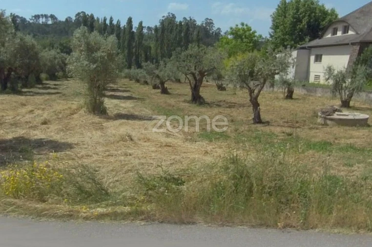 Terreno para Venda em Leiria, Pousos, Barreira e Cortes Foto 4