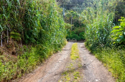 Terreno para Venda em Ribeira Grande (Conceição)