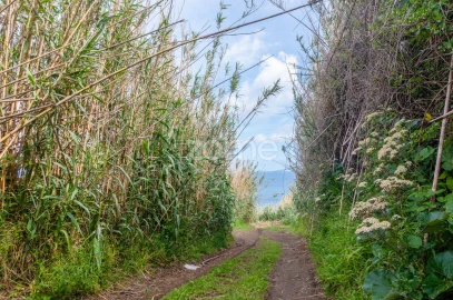 Terreno para Venda em Ribeira Grande (Conceição)
