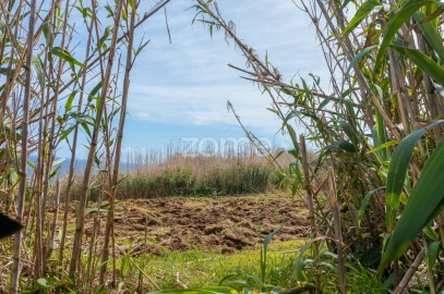 Terreno para Venda em Ribeira Grande (Conceição)