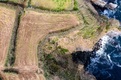 Terreno para Venda em Ribeira Grande (Conceição)