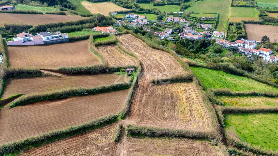 Terreno para Venda em Ribeira Grande (Conceição)