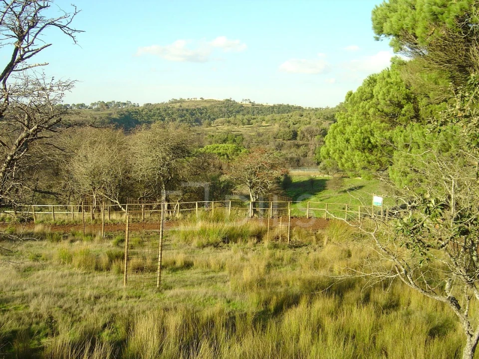 Armazém para Venda em Malveira e São Miguel de Alcainça Foto 13