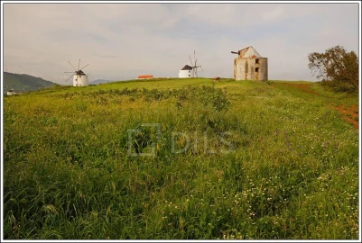 Armazém para Venda em Malveira e São Miguel de Alcainça
