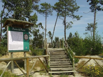 Armazém para Venda em Malveira e São Miguel de Alcainça