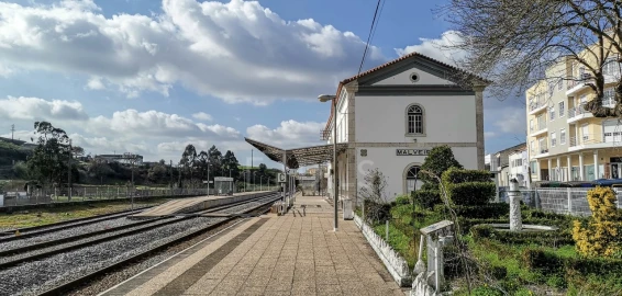 Armazém para Venda em Malveira e São Miguel de Alcainça