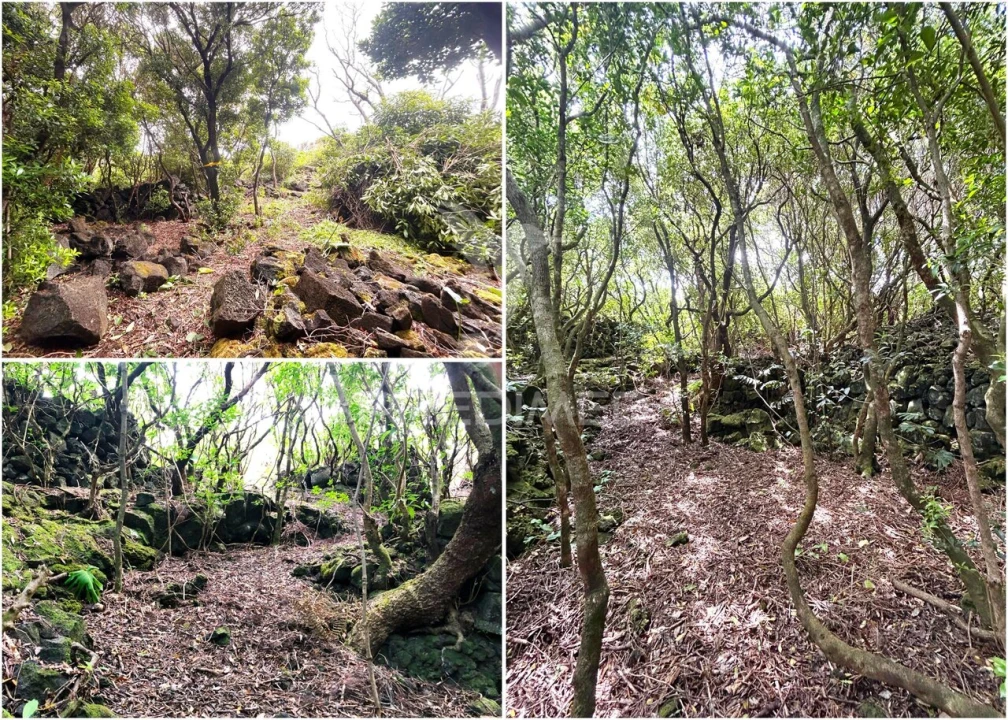 Terreno para Venda em Santo Antonio Foto 23