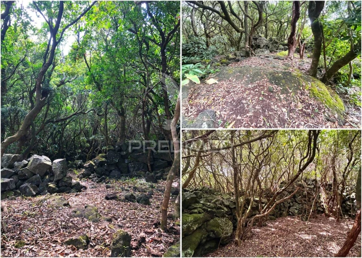 Terreno para Venda em Santo Antonio Foto 24