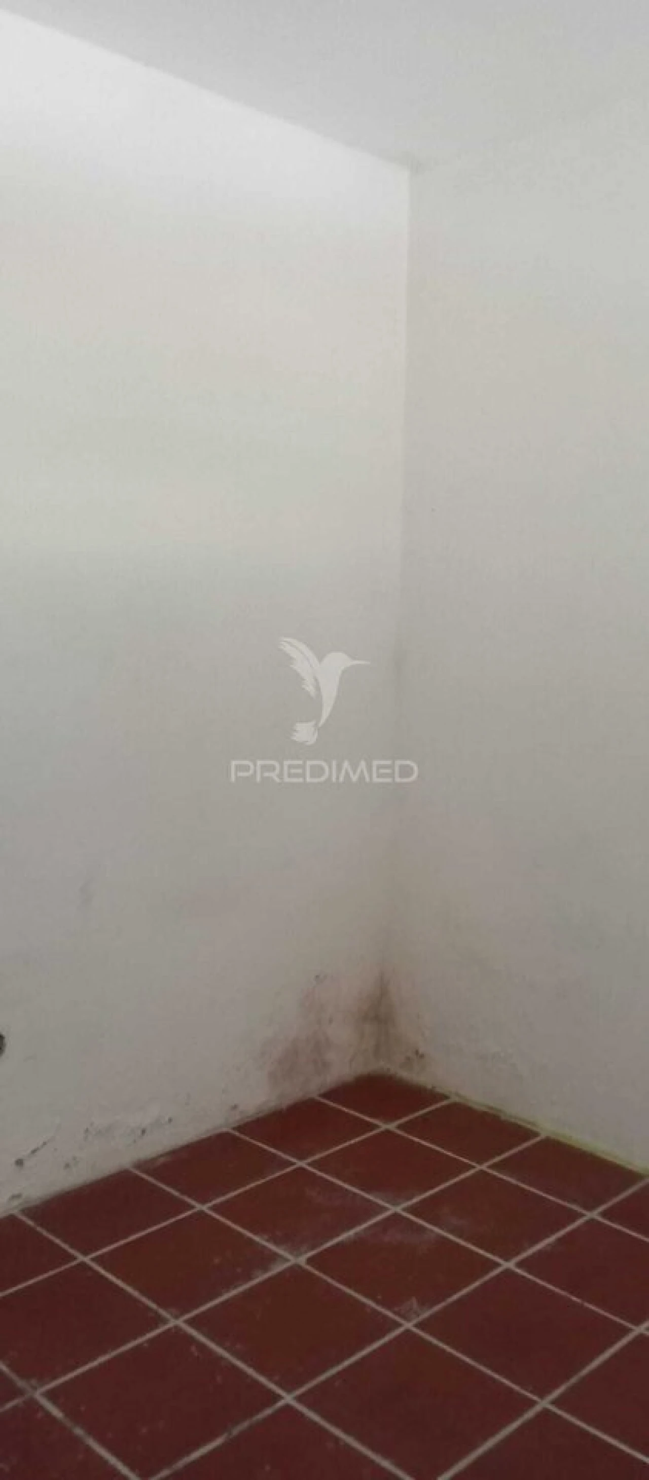 Moradia T2 para Venda em Reguengo e São Julião Foto 15