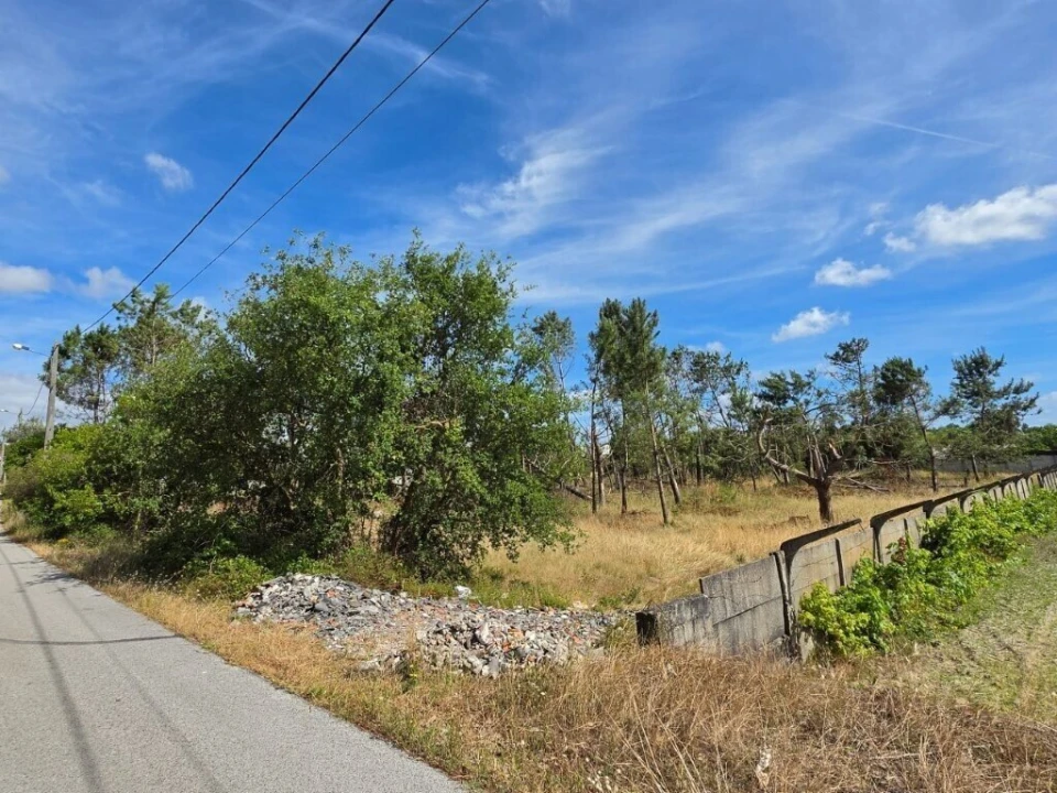 Terreno para Venda em Monte Redondo e Carreira Foto 5