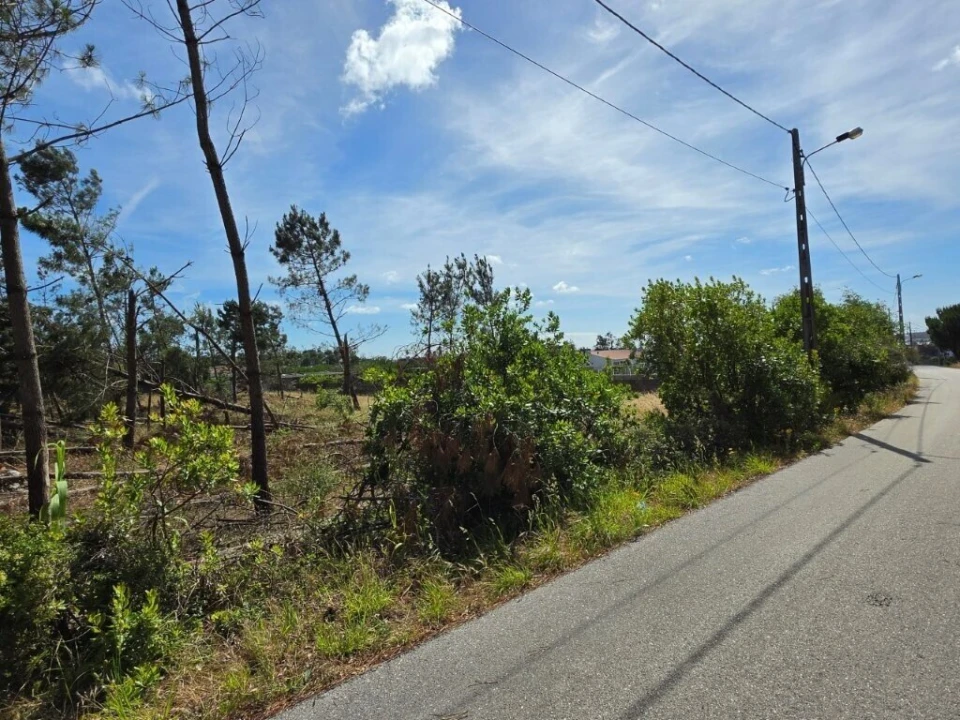 Terreno para Venda em Monte Redondo e Carreira Foto 6