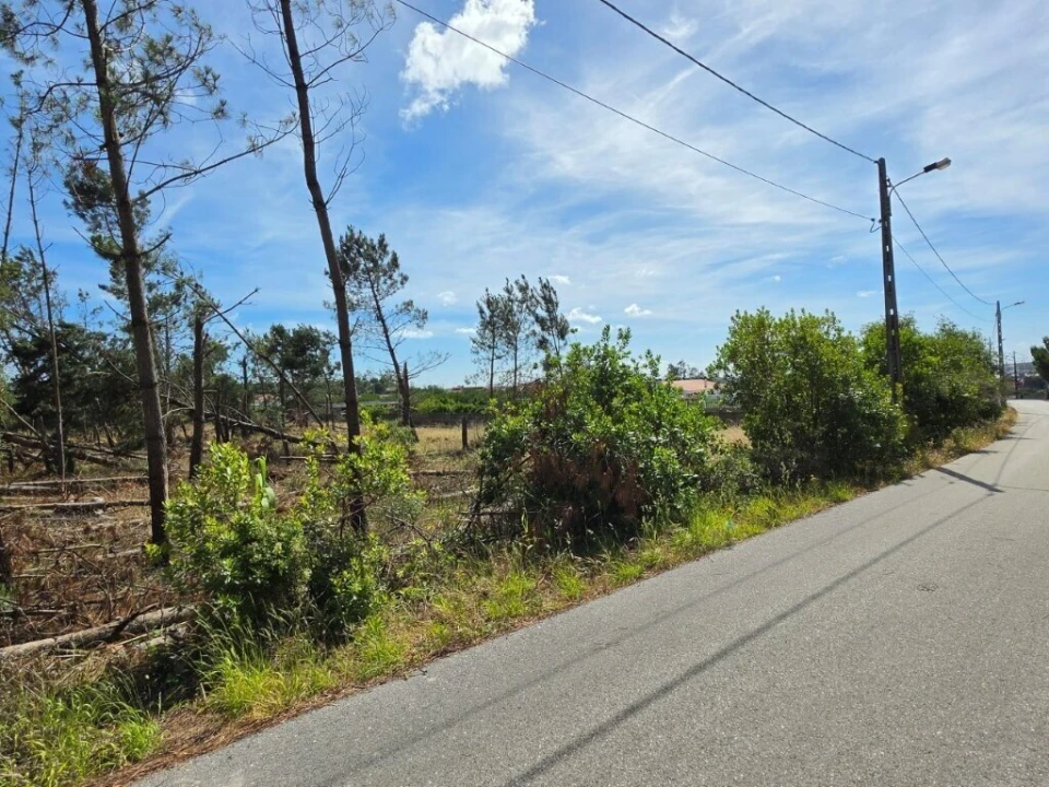 Terreno para Venda em Monte Redondo e Carreira Foto 4