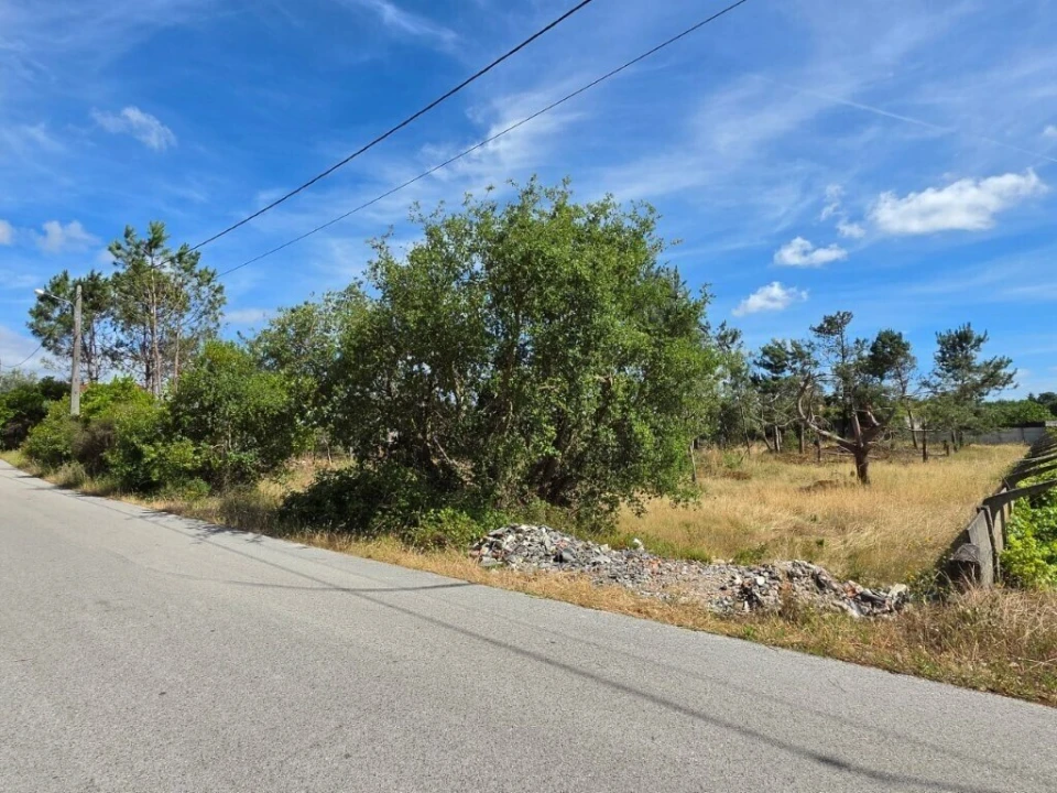Terreno para Venda em Monte Redondo e Carreira Foto 1