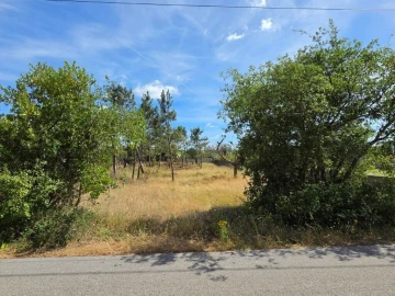 Terreno para Venda em Monte Redondo e Carreira