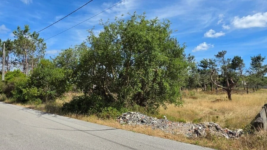 Terreno para Venda em Monte Redondo e Carreira